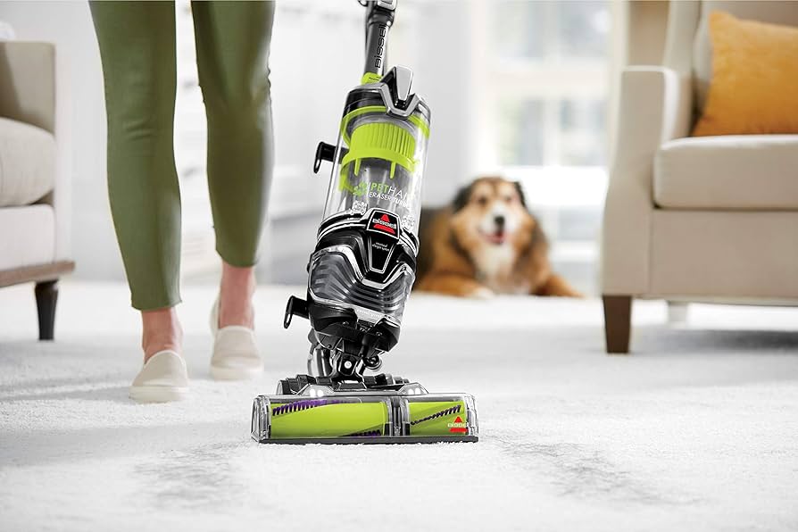 main vacuum